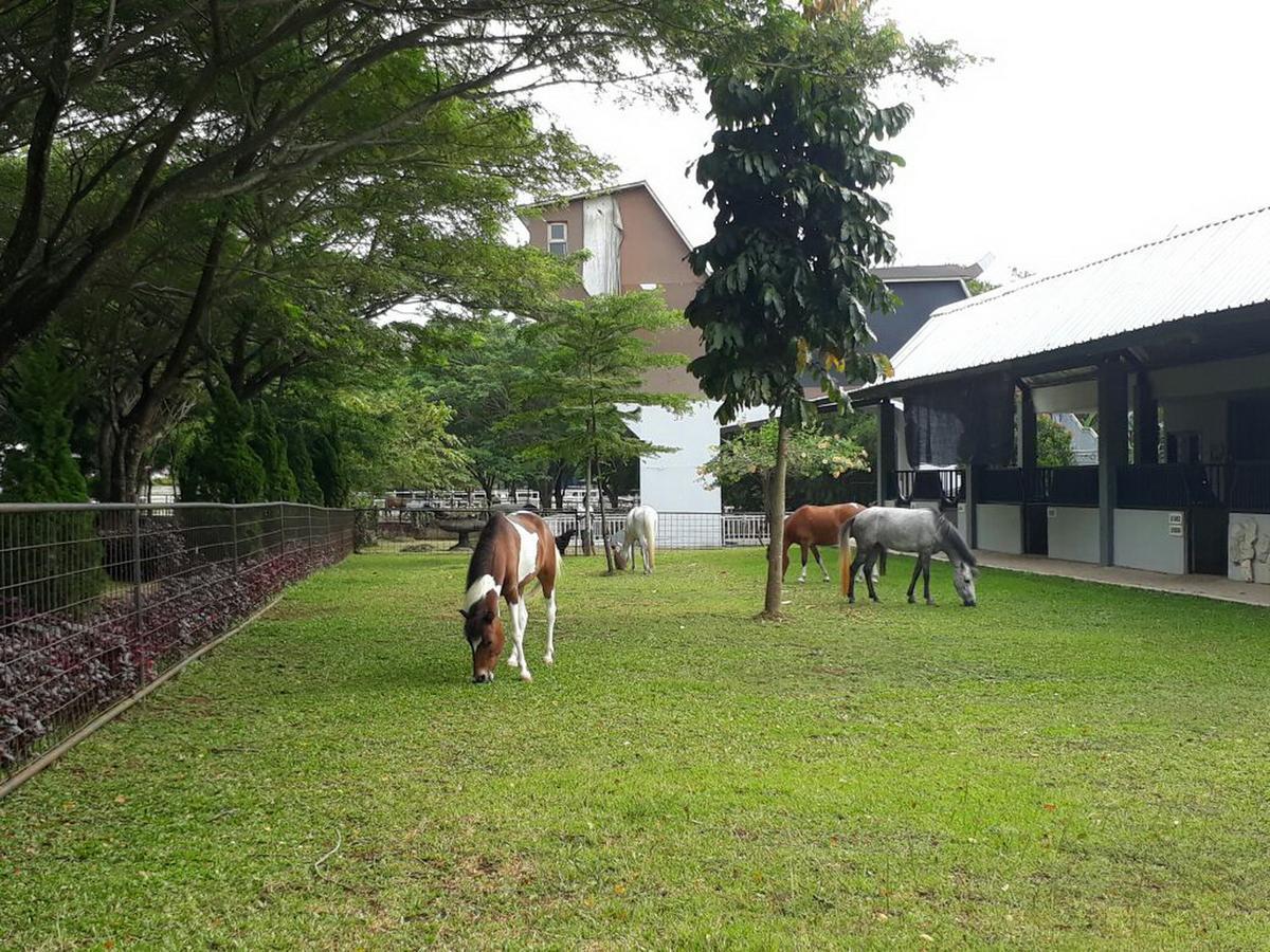 One Global Adria - Equine Estate &
