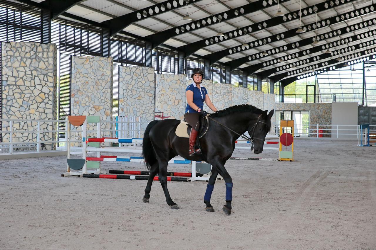 One Global Adria - Equine Estate & Tangerang