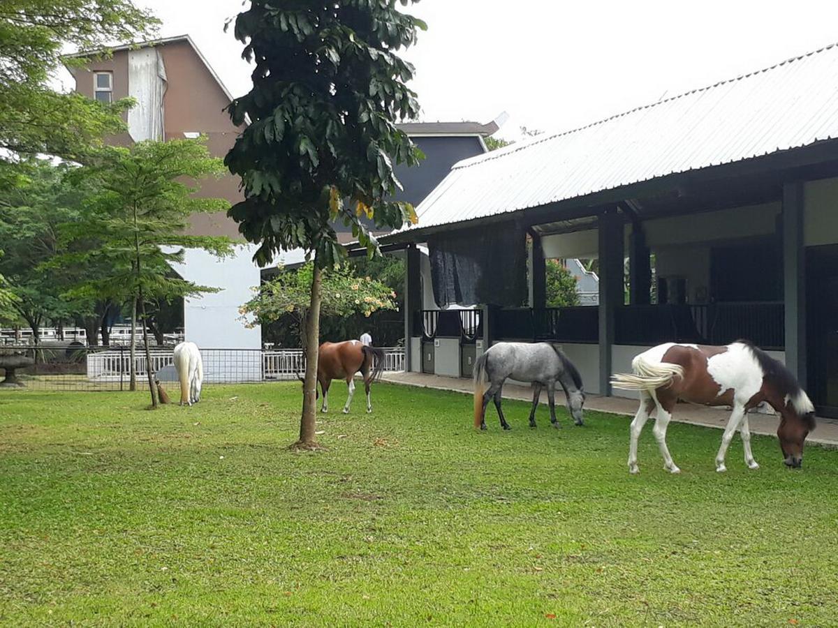 Resor One Global Adria - Equine Estate &