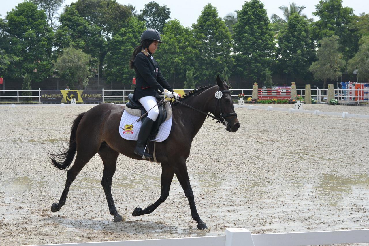 Resor One Global Adria - Equine Estate &