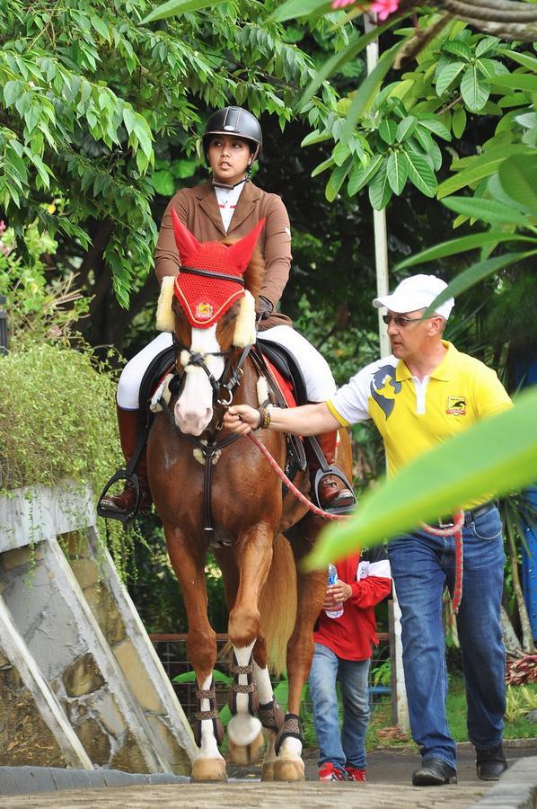 Resor One Global Adria - Equine Estate & Tangerang