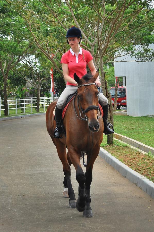 One Global Adria - Equine Estate & Resor