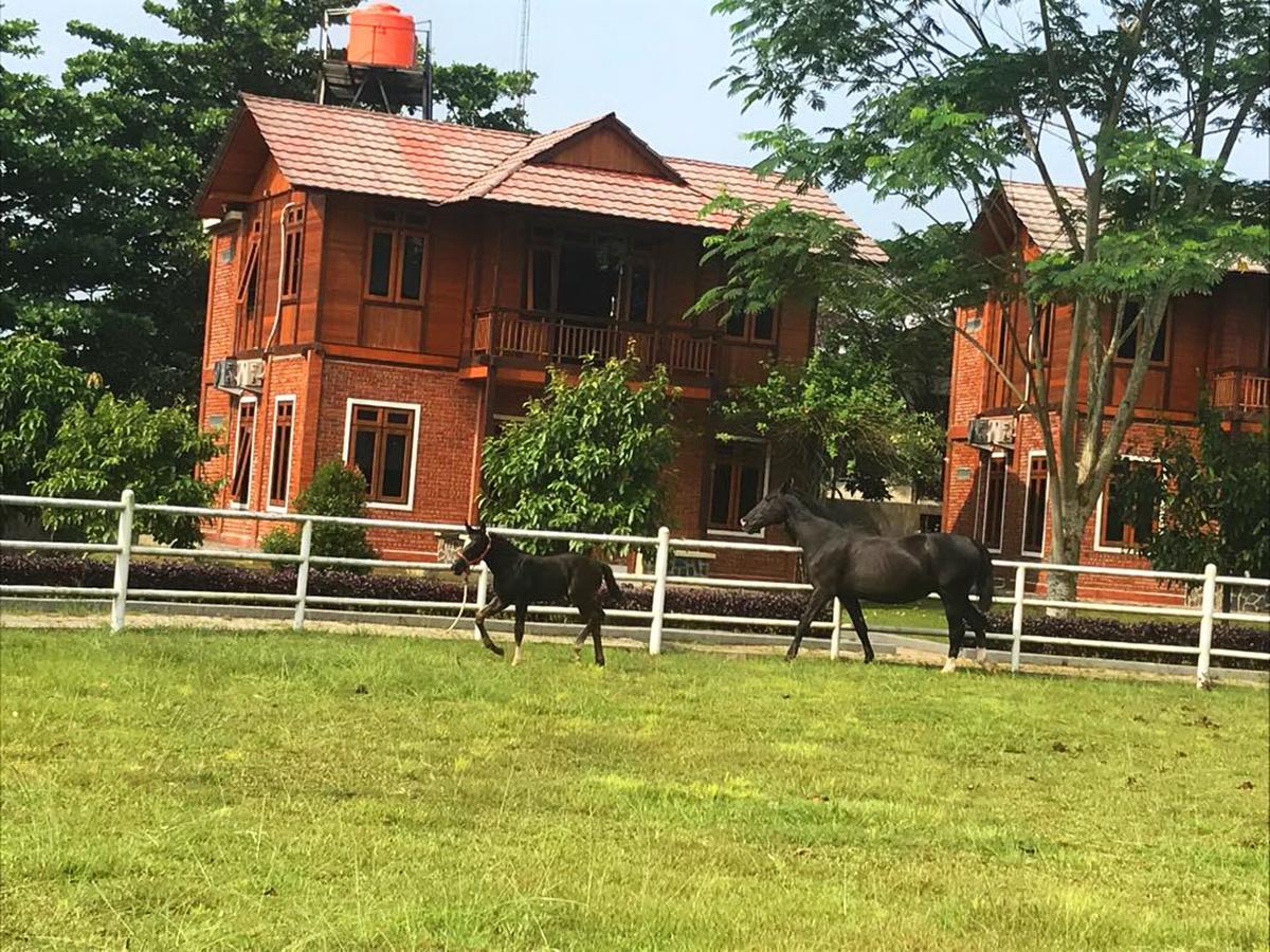 One Global Adria - Equine Estate & Resor