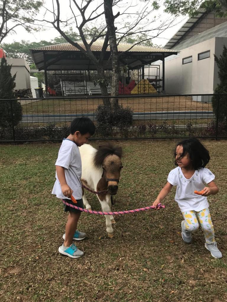 One Global Adria - Equine Estate & Resor Tangerang